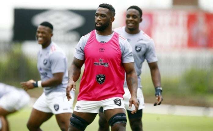 Dobson on Kolisi's potential return to the Stormers: 'It's something to be entertained'