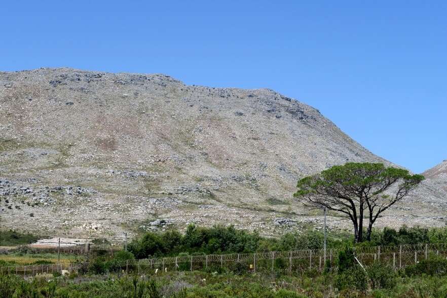 Navy ammunition depot, surroundings in Simon's Town are an ever growing fire hazard – experts