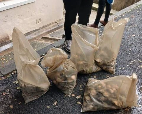 2 vas ná botsing tot perlemoen-vonds lei; 1 net 14 j.