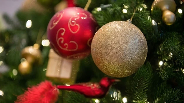 Germany cancels Nuremberg Christmas market over virus