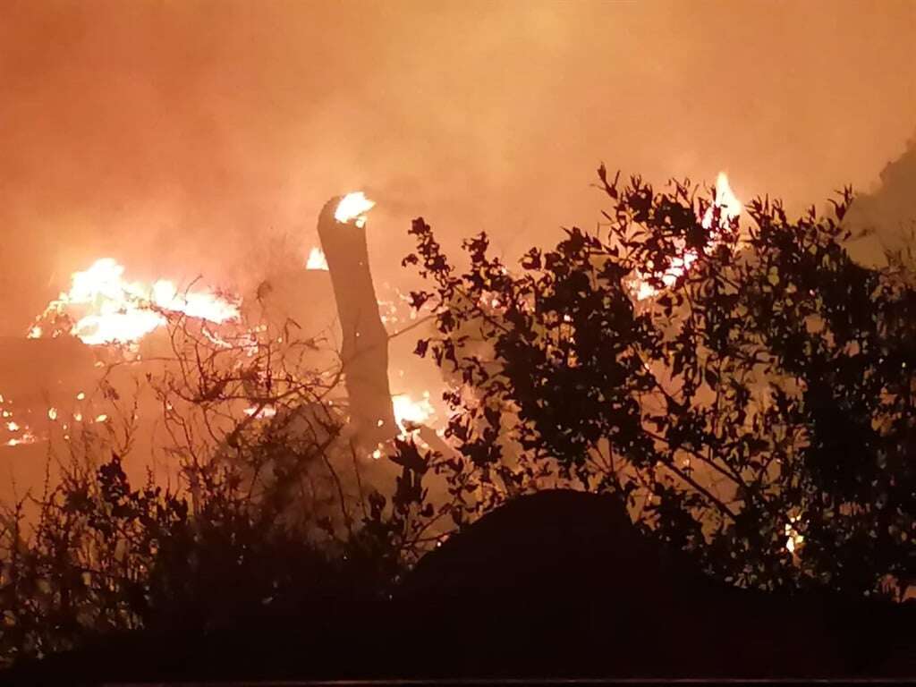 Cape Winelands plantation fire contained, monitoring continues