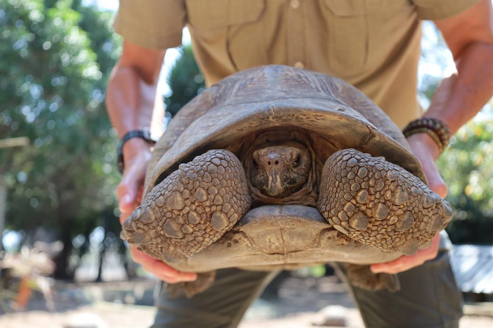 Mosselbaai: Tugstappe kom dalk nadat diere van kant gemaak is