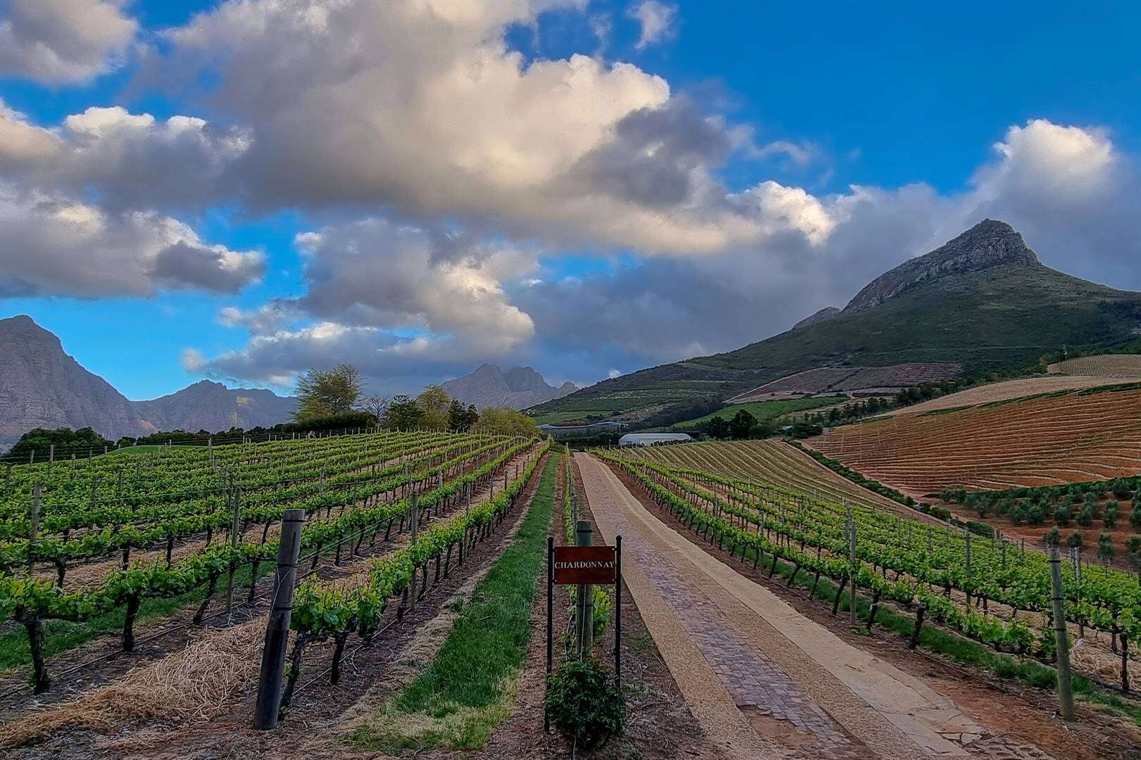 Inwoners raadop oor plaasaanvalle buite Stellenbosch