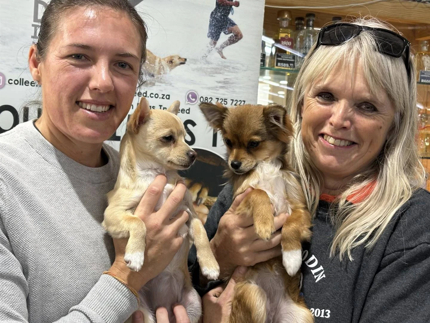 Protea-krieketspeler help honde in nood op Mandeladag
