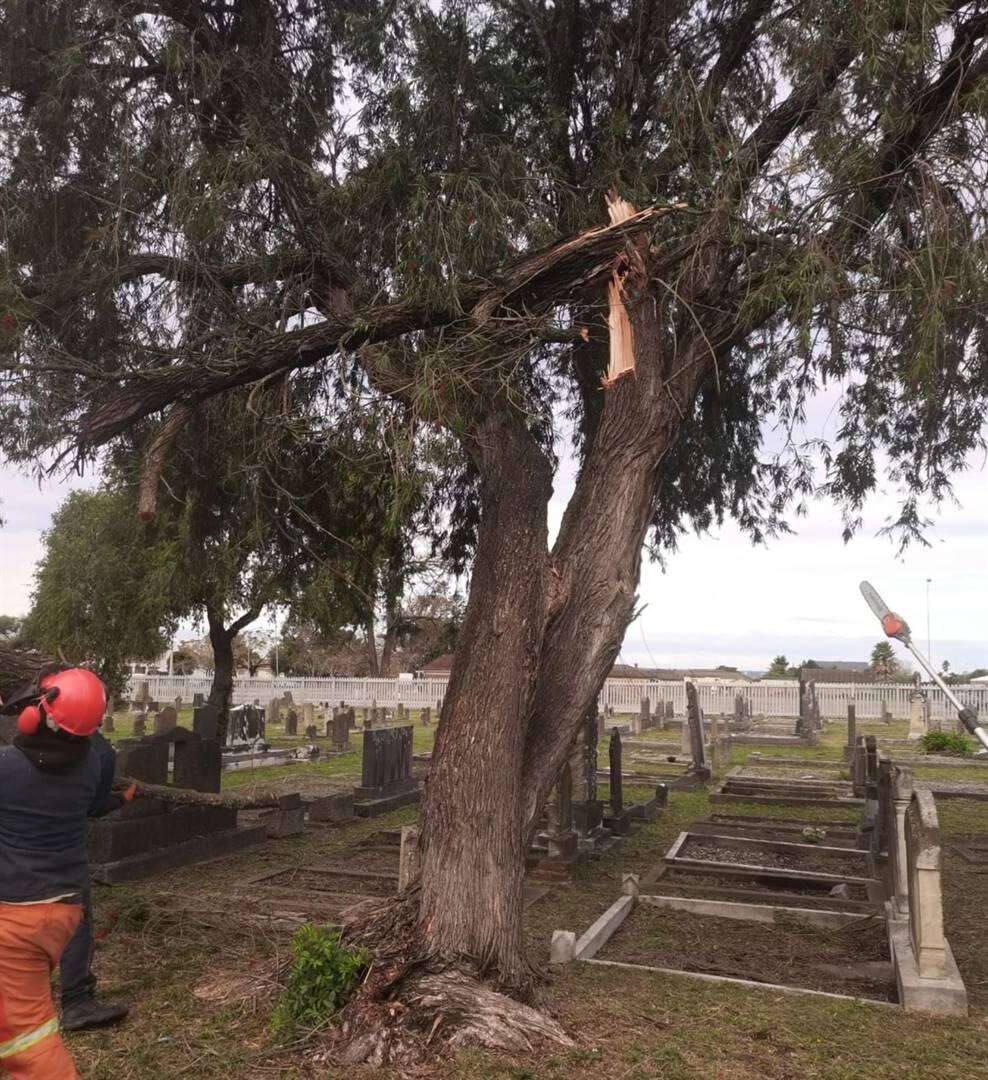 Nog wind, koue die naweek vir Tuinroete voorspel