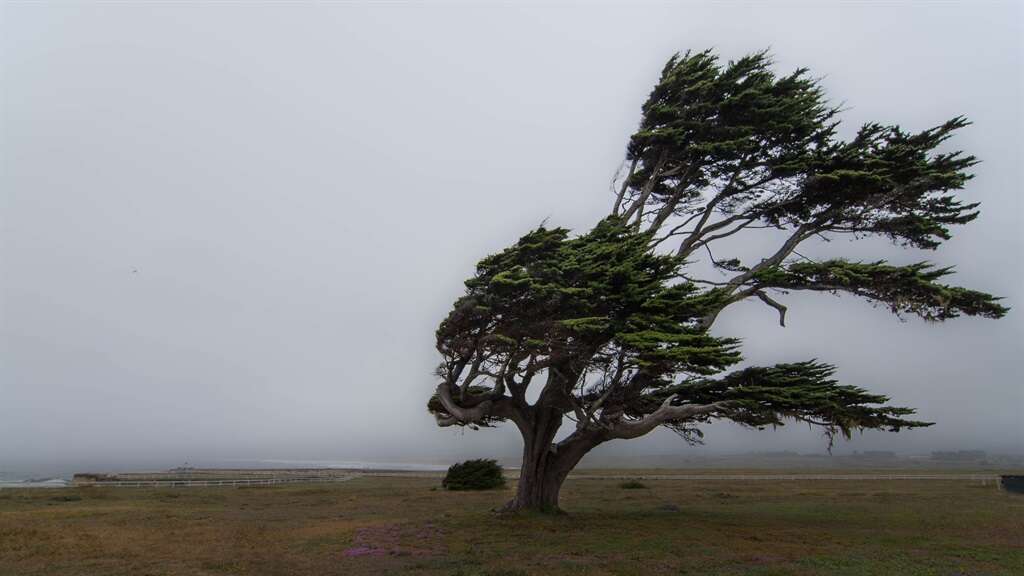 Monday's weather: Damaging winds and waves for Eastern Cape, but cool to warm for rest of country