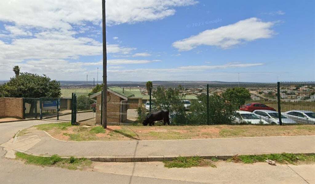 29 Eastern Cape pupils treated for tummy aches, itchiness after suspected food poisoning