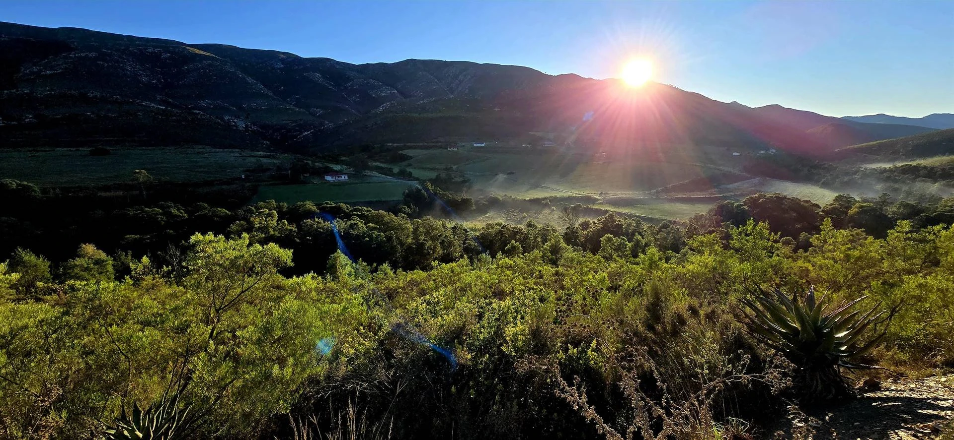 Om hoop te kry in hierdie land, een tree op ’n slag, vir 277 km
