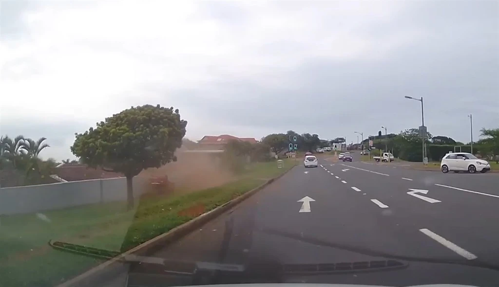 WATCH | Peacock rescued from overturned car's boot after high-speed chase in Durban
