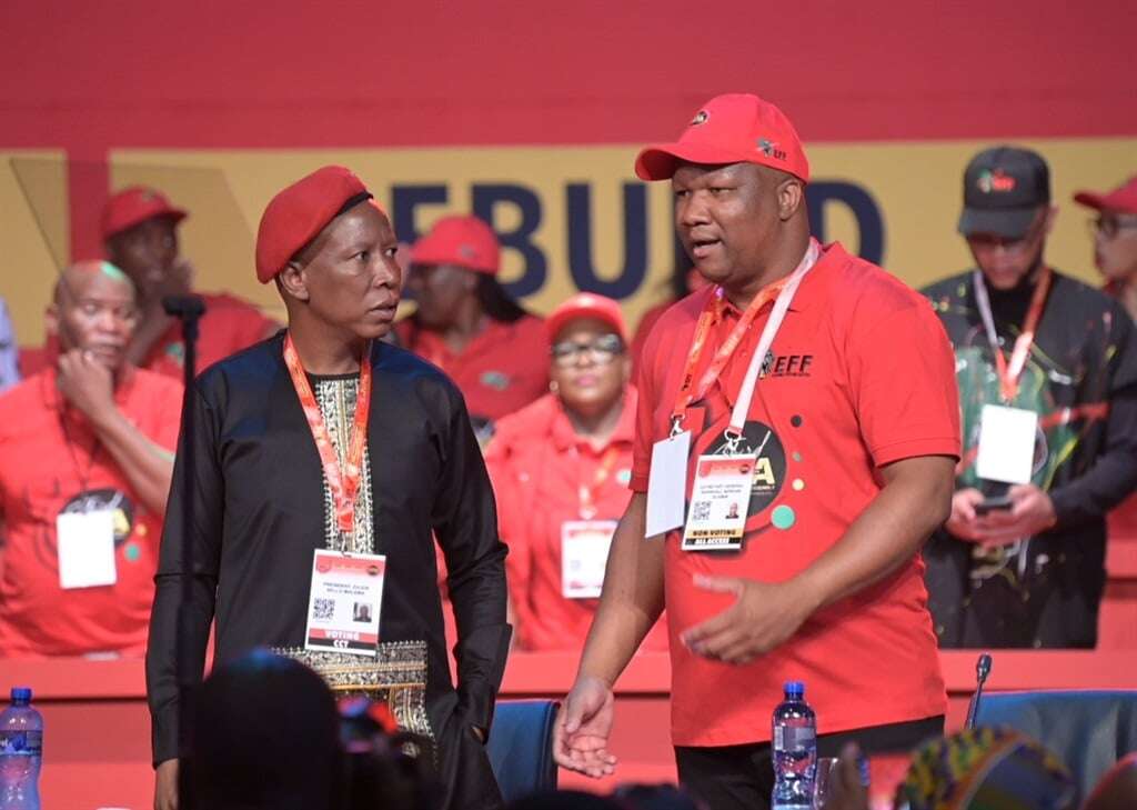 EFF ready to enter government when the GNU collapses - Malema