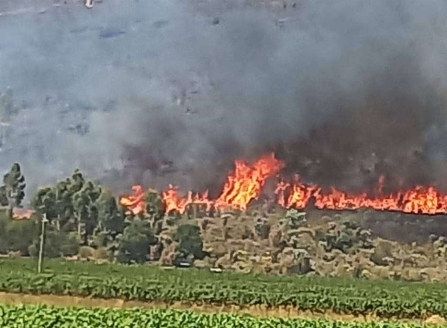 Brande in Wynland-distrik: Boere g’n in steek gelaat, sê 1ste burger