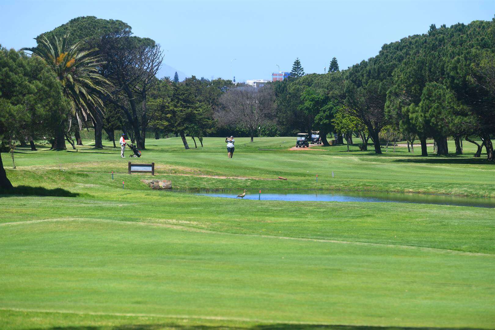 ‘Meer grond nodig vir huise as vir gholfbane’ in Kaapstad