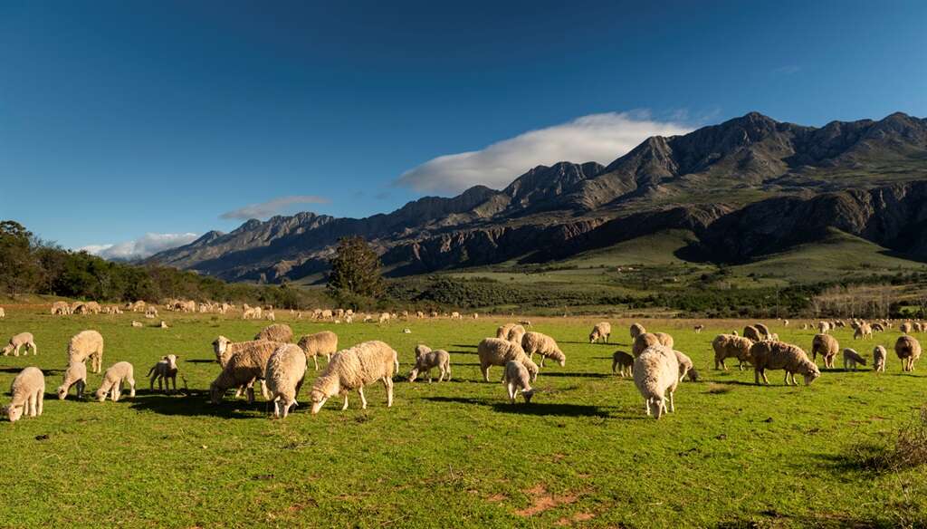 Kan landbou vir miljoen mense werk skep? Ja, as dié knelpunte aandag kry