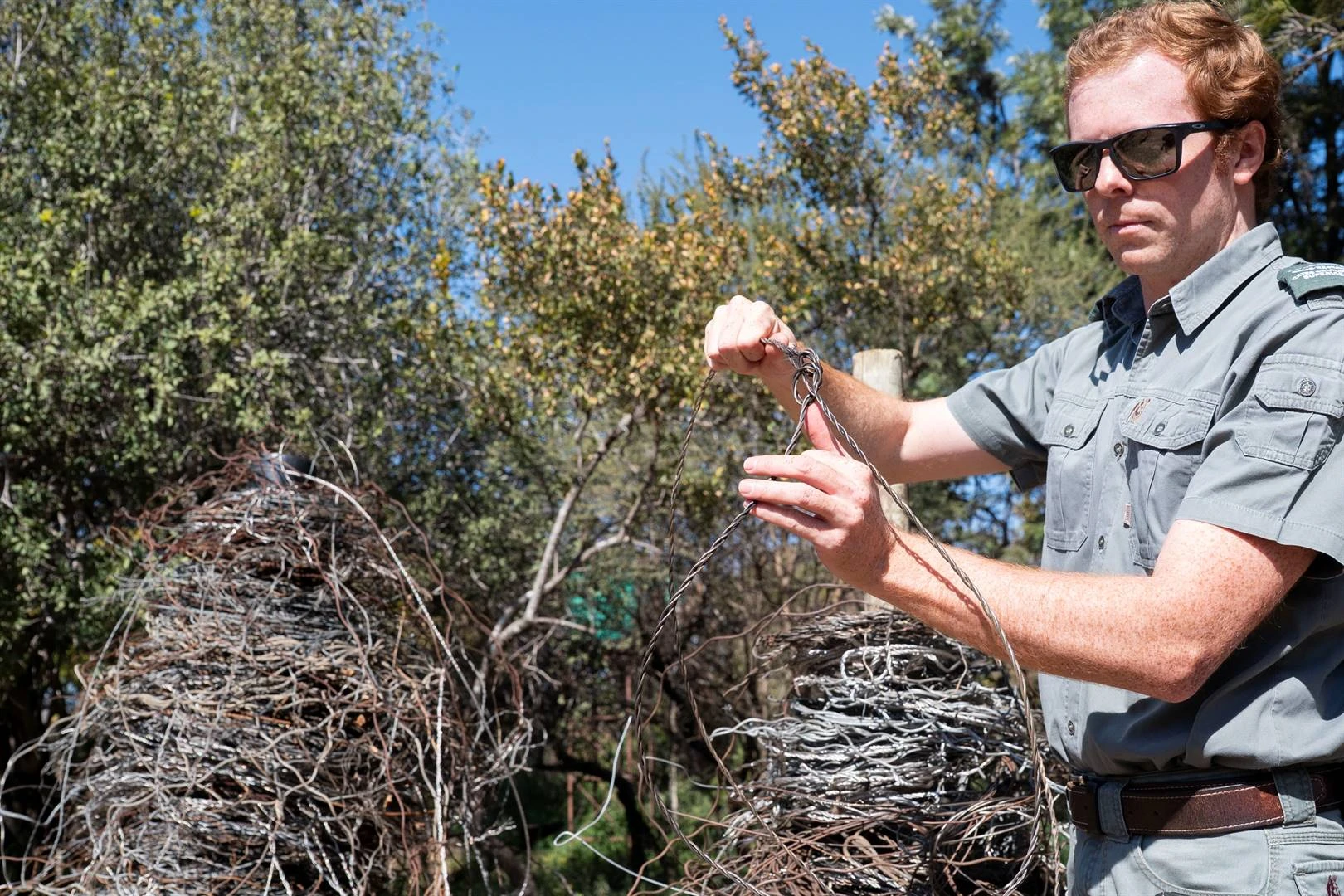 Aaklige dood: Dinokeng-bewaarders veg teen stropers se strikke