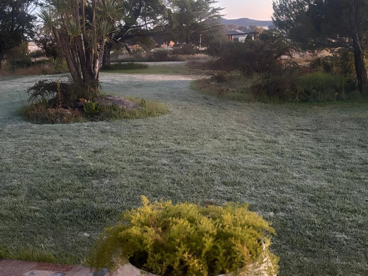 Vrystaat, Noord-Kaap bibber van die koue, eerste ryp hier