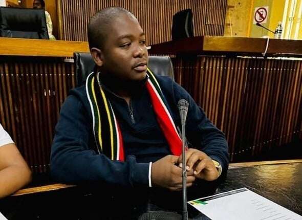 SA politicians don't understand tenders, they are 'corrupted' by govt officials – ANC MP claims