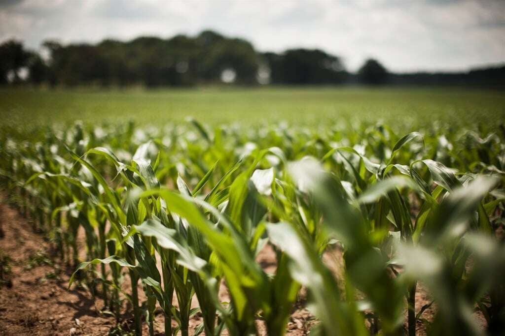 Soaring agribusiness mood casts doubts on dire GDP farm data