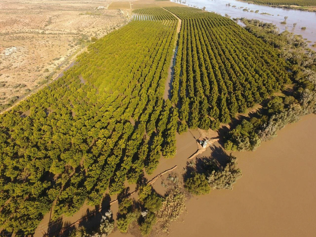 Vloede: Damme se sluise sou Moeder Natuur se watermassa nie kon keer