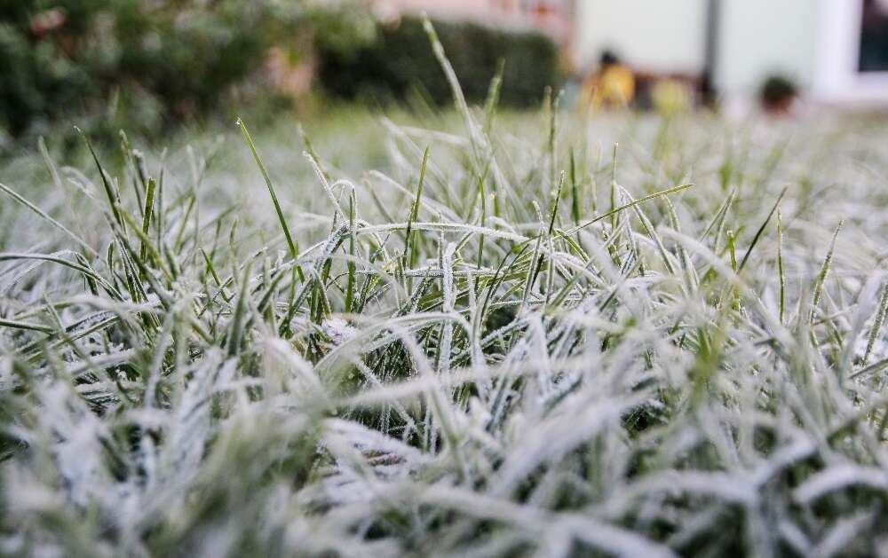 Friday's weather: High fire danger, frost and isolated showers across multiple provinces