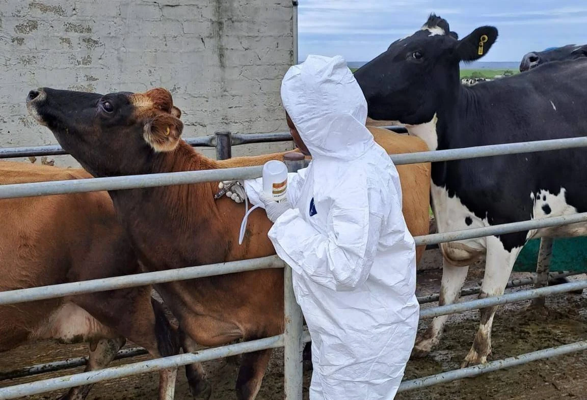 Vrystaat het dalk 1ste geval van bek-en-klouseer