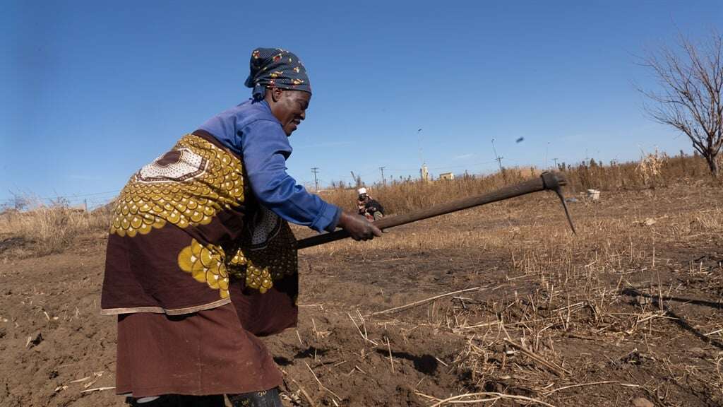 OPINION | State custodianship: EFF's vision for equitable land distribution