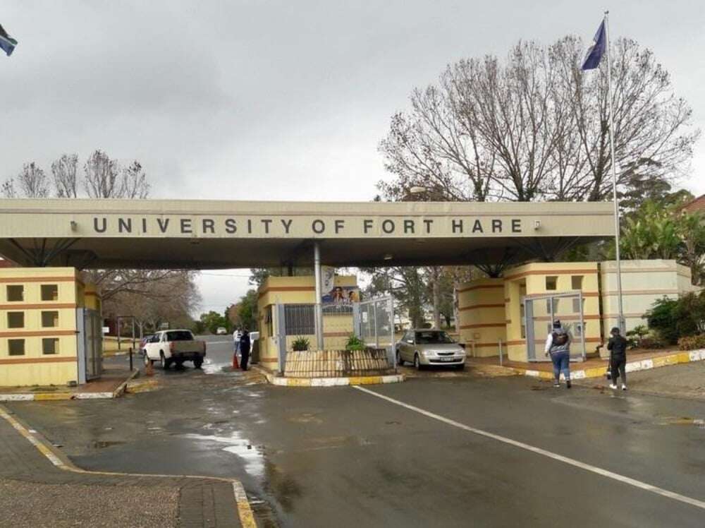 'Sorry, wrong group': Fort Hare ordered to reinstate employee axed after WhatsApp porn blunder