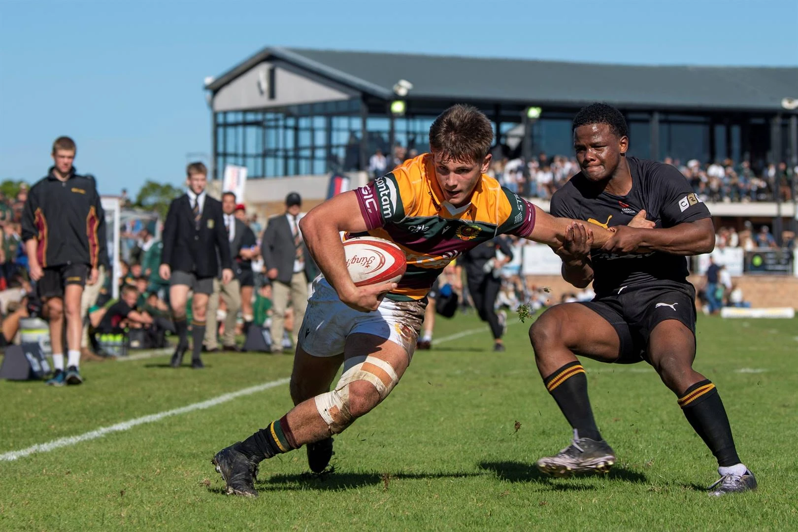 Manjifieke Muller ploeg met Boland Landbou op die Plaas
