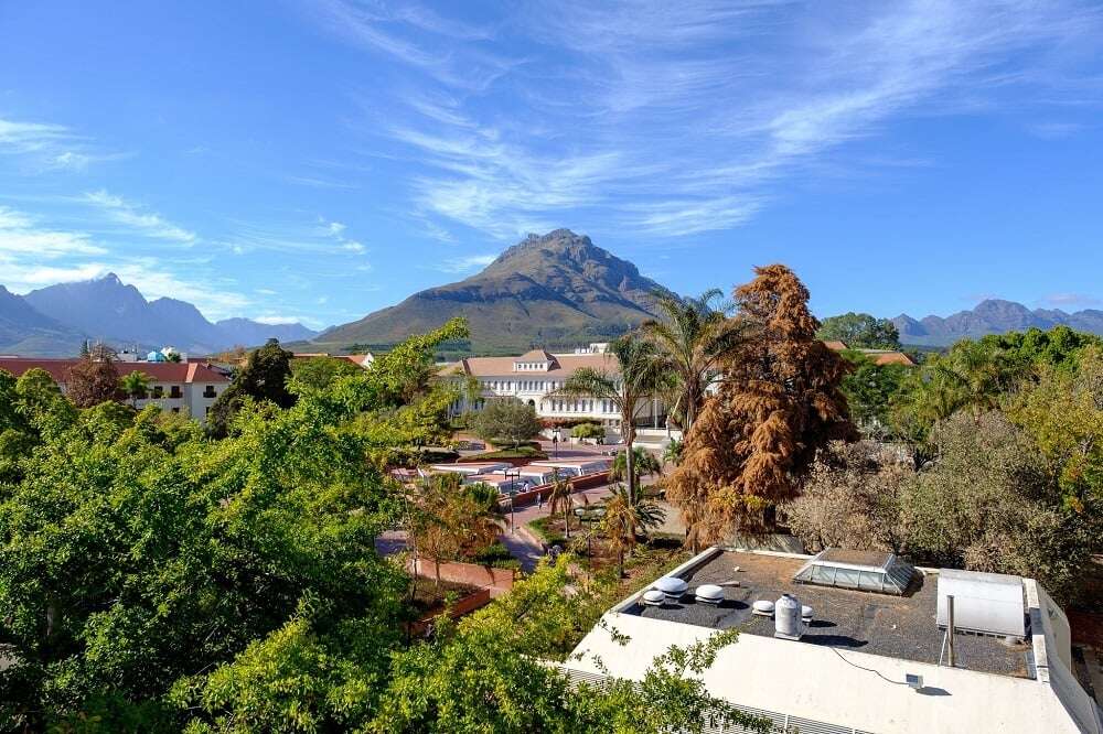 'You are not allowed to drape any flag': Stellenbosch University removes Palestine flag