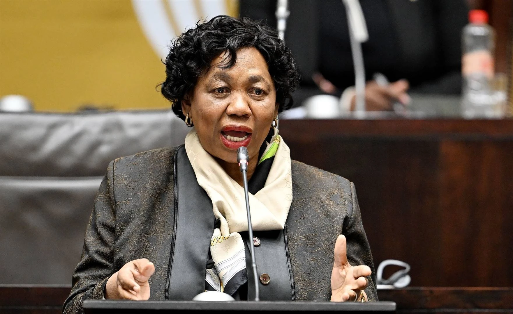 Motshekga is ruggraatloos deur Maphwanya te steun – Zibi