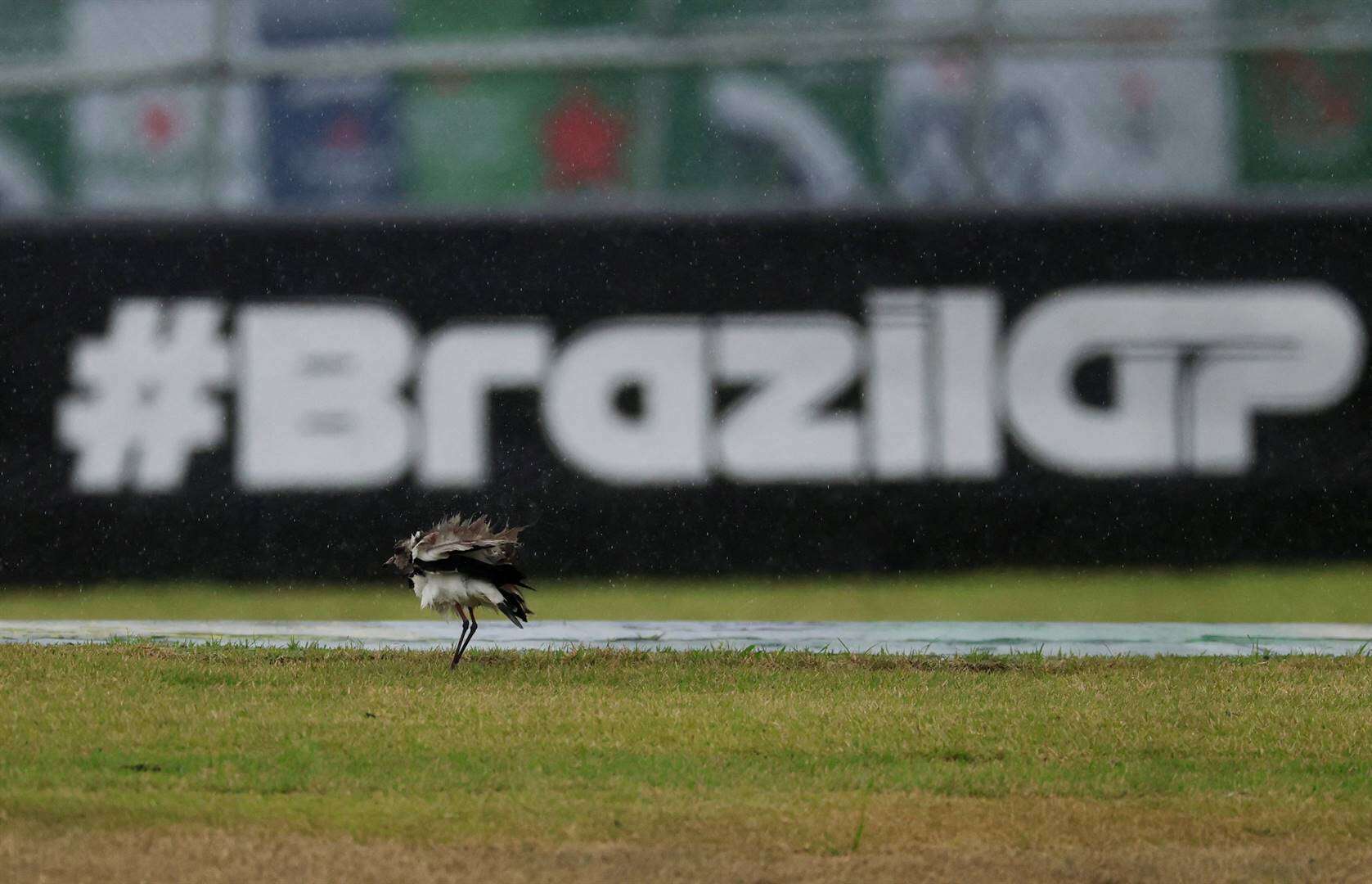 Weer stop F1-aksie in Brasilië