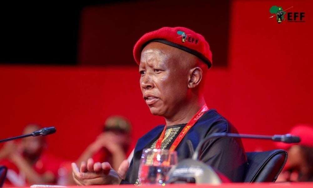 Malema urges EFF leaders to be 'ruthless' against factions