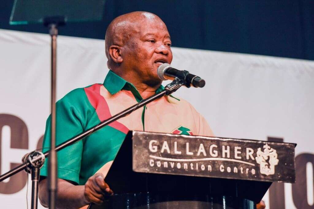 COALITION NATION | Holomisa wants piece of GNU cake, but has reservations regarding a few issues