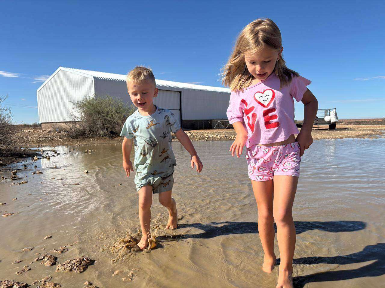 Groot verligting oor milde reën in Kalahari