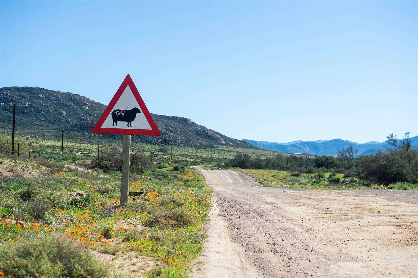 Polisielede jag kapers in Garies: Eers chaos, toe loop lagtrane