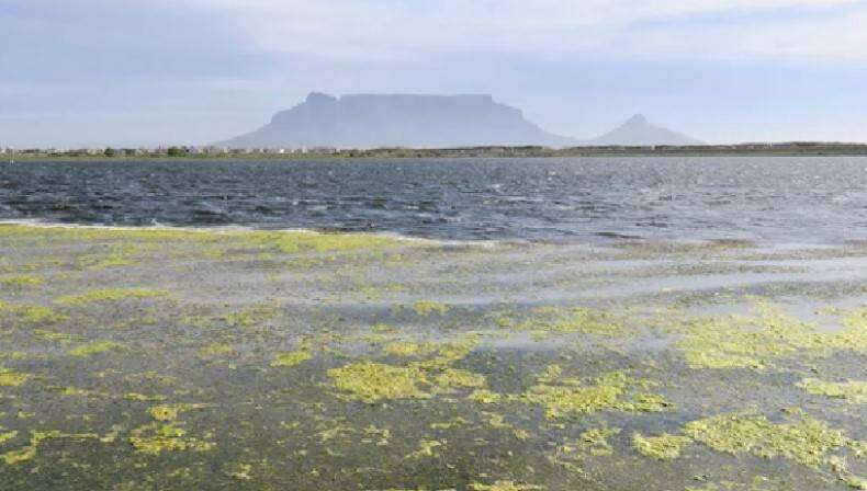 NVG sê gou oor klag teen Kaapse metro oor storting van rioolvuil