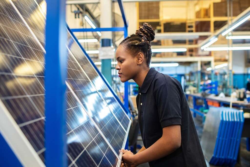 Free training kicks off in Cape Town to teach young workers much-needed solar skills