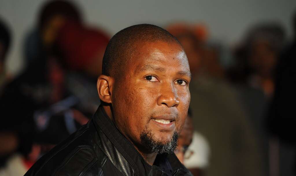 Mandla Mandela's stolen SUV recovered in Limpopo