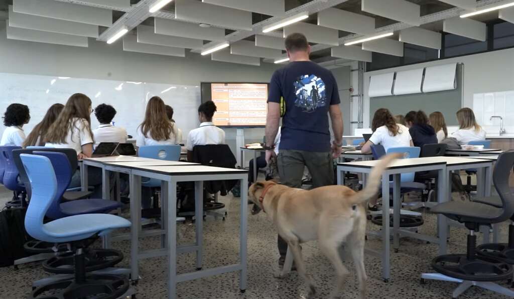 WATCH | From a building collapse to classrooms: How Jedi, the sniffer dog, is eradicating vaping