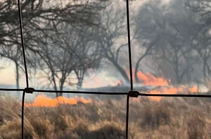 Raging fires burn more than half the grazing land at Eastern Cape game reserve