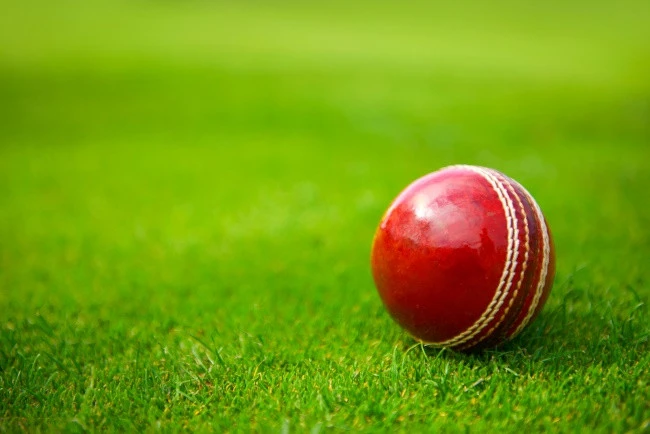 Former Sri Lanka star Zoysa guilty of match-fixing