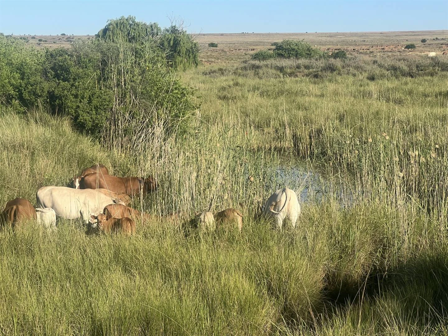 WEERKAART | Die weer in jou streek Vrydag