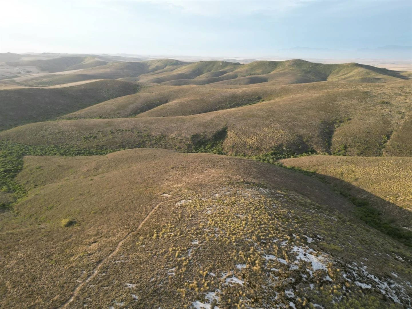 Dubbele hupstoot vir bewaring van renosterveld én bedreigde roofvoëls