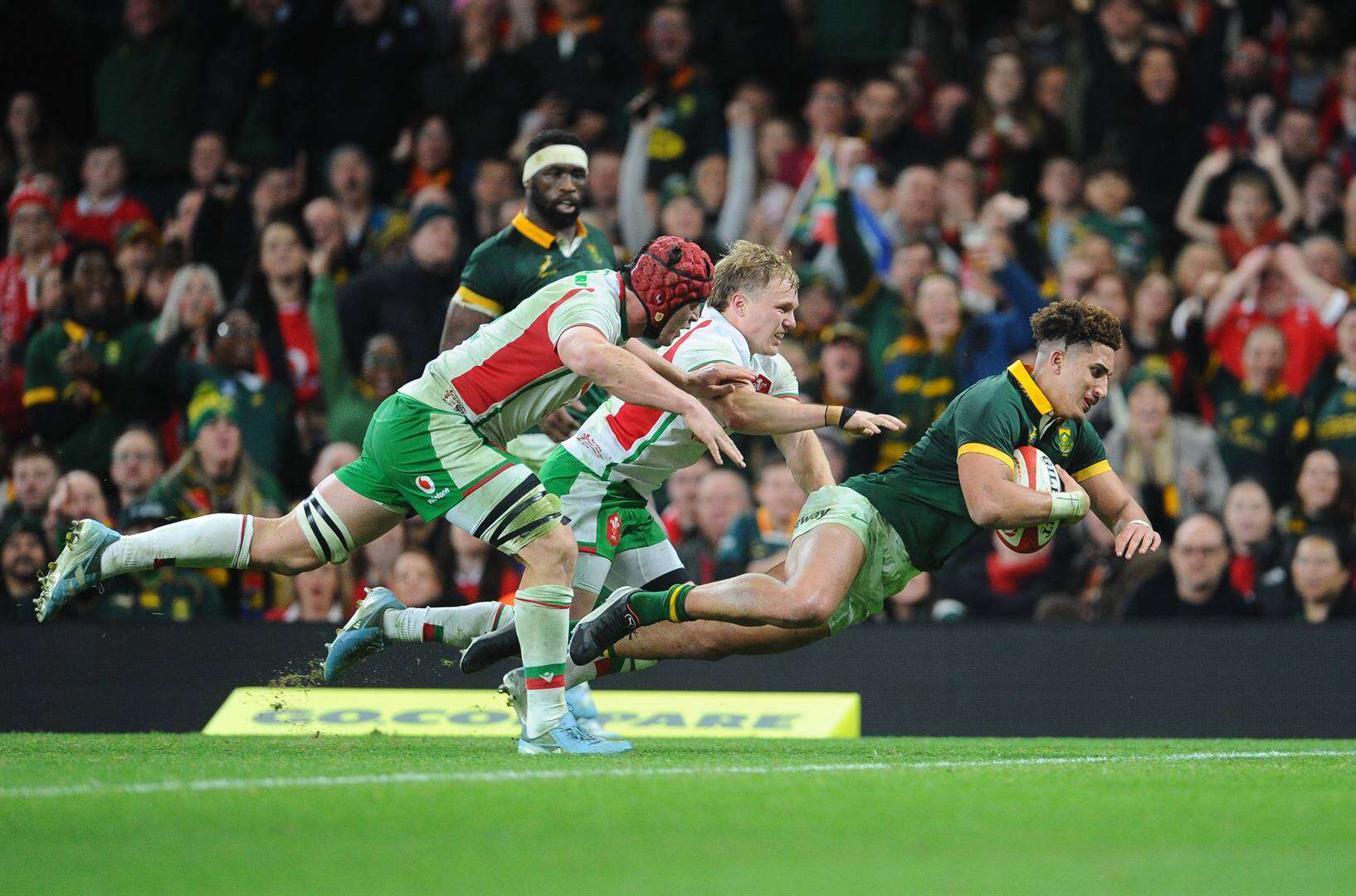 Springbokke se losskakel-beker loop oor