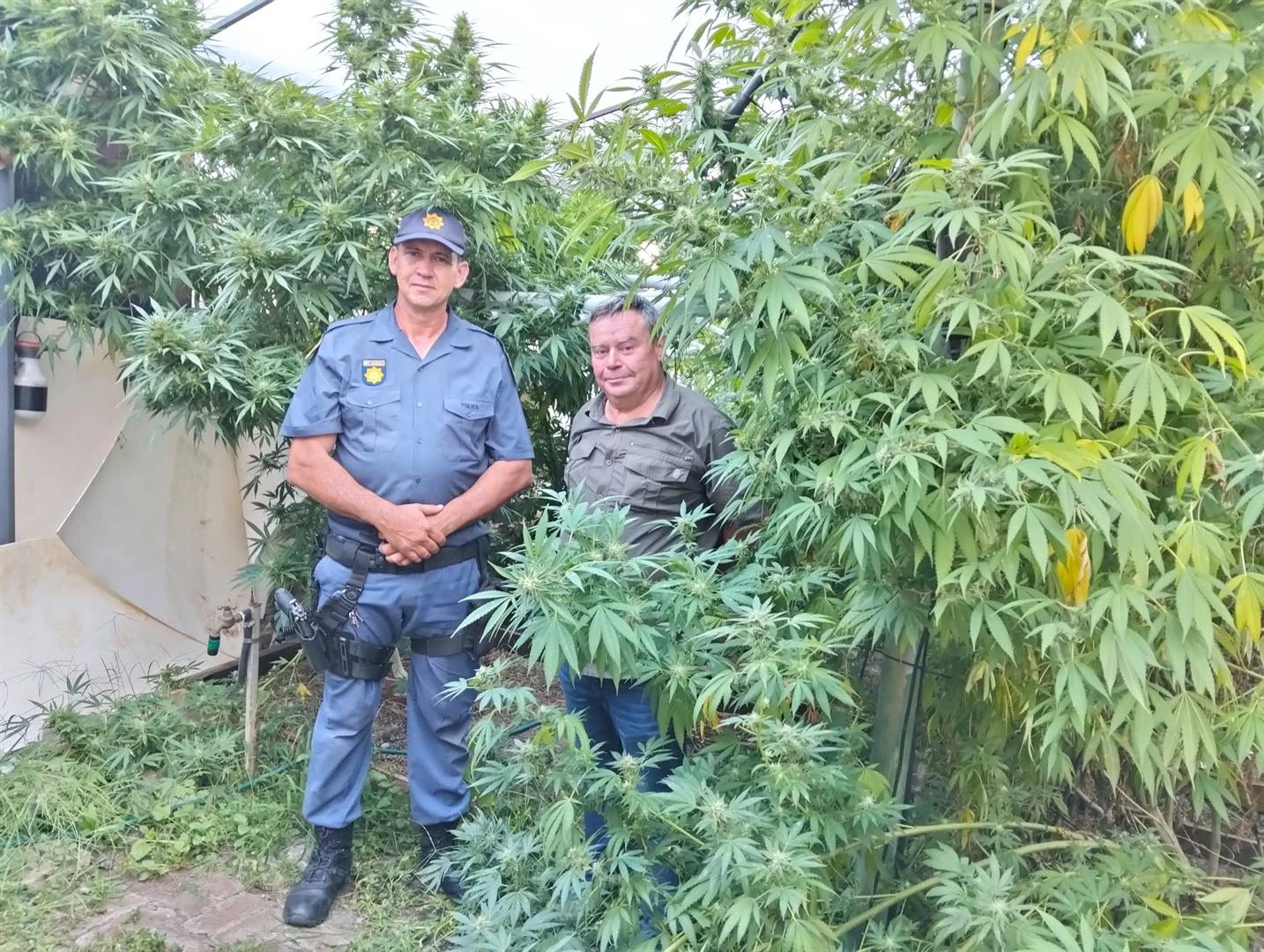 Polisieman skrik hom boeglam vir pofadder in Potch-daggahuis