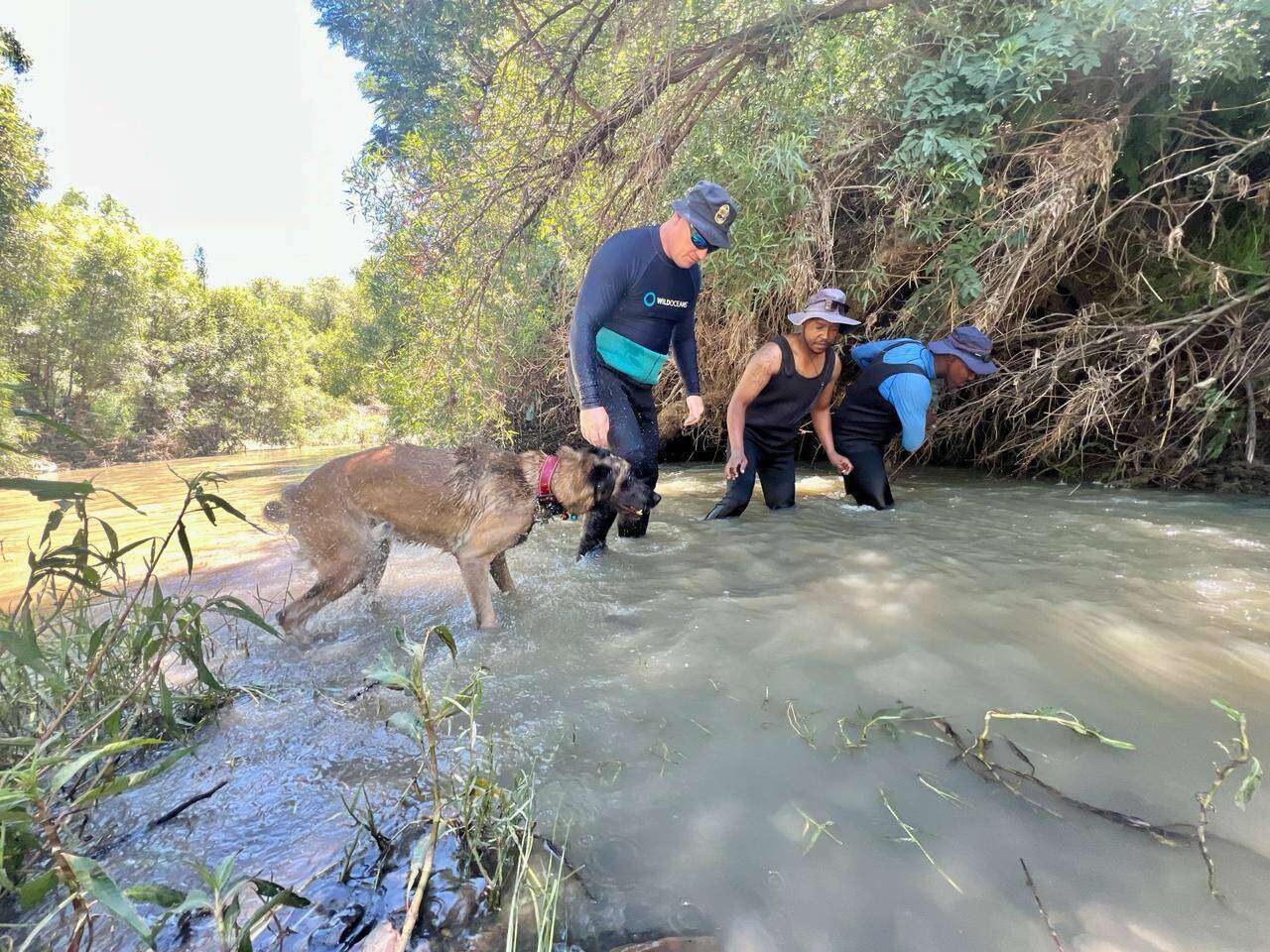 Botshabelo-moorde: 2 het glo nog geleef toe hulle vasgebind, in rivier gegooi is