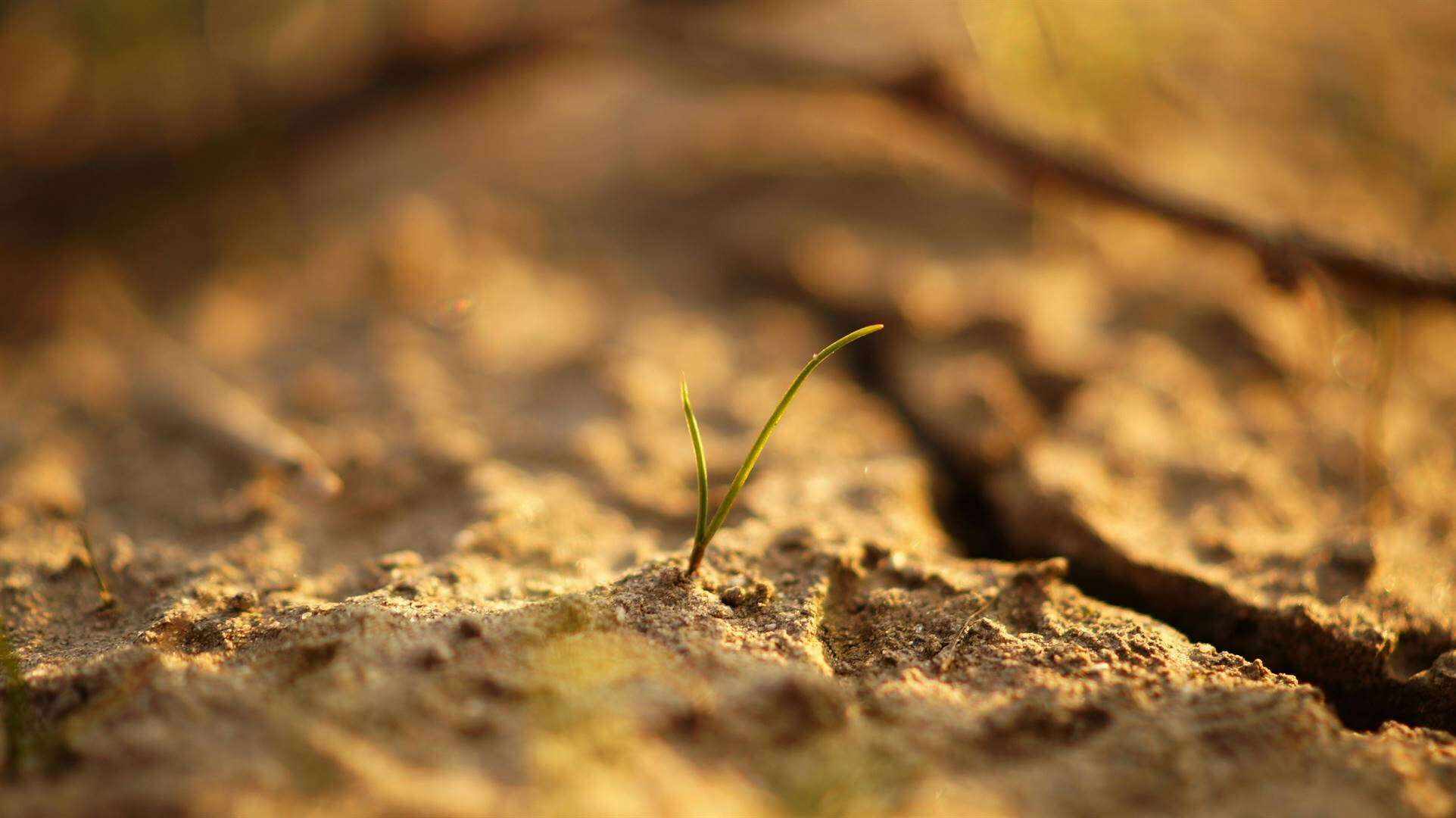 Droogte dryf 26 m. in Suider-Afrika tot voedselonsekerheid