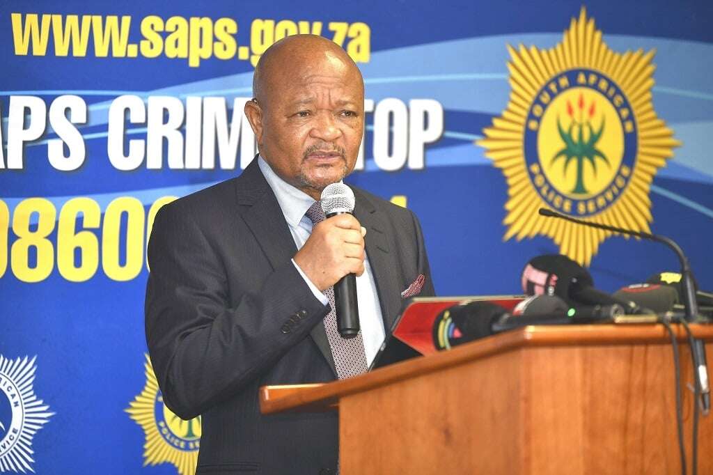 Western Cape crackdown: Police raid 98 gang hideouts in 8 months, says Mchunu