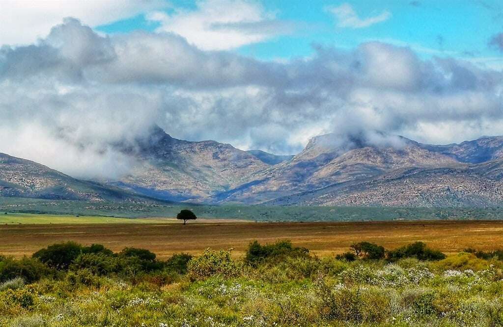 Annemarie van der Walt: Landskappe se perspektief en troos verstom