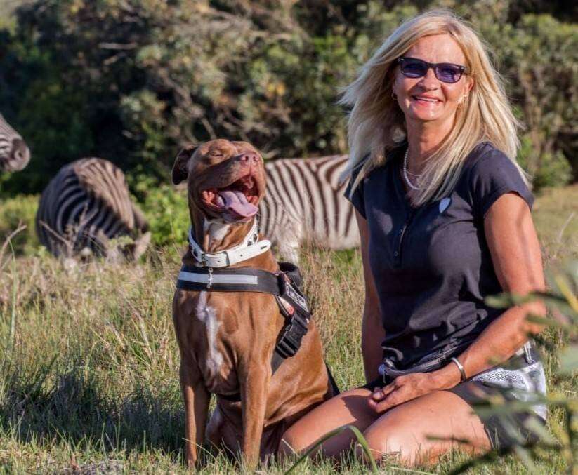 Poging om pitbulls in SA te verbied steeds aan die gang