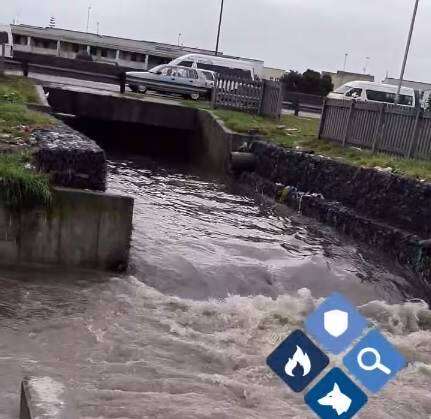 Taxibestuurder soek nadat hy in rivier in Kaapstad spring